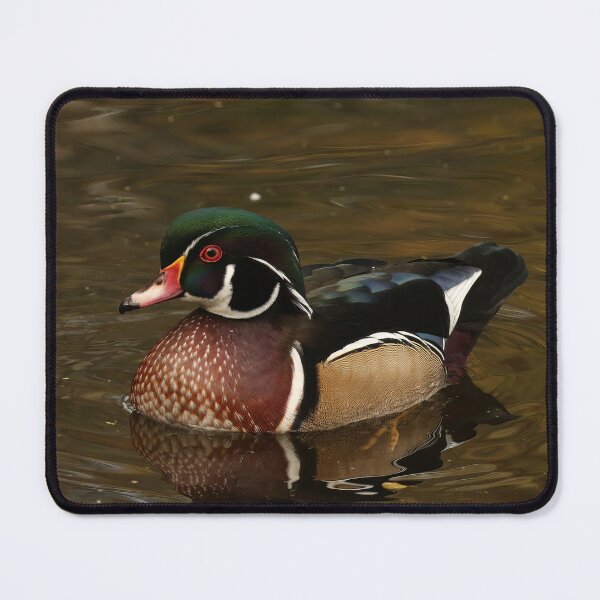 Item preview, Wood duck designed and sold by locustgirl.