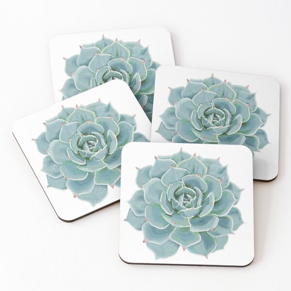 Item preview, Echeveria Allegra designed and sold by widmerbotanical.