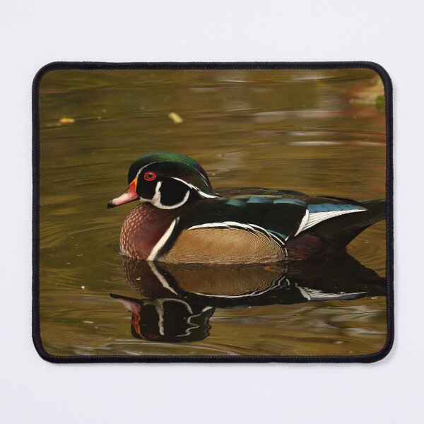 Item preview, Autumn's beautiful wood duck designed and sold by locustgirl.