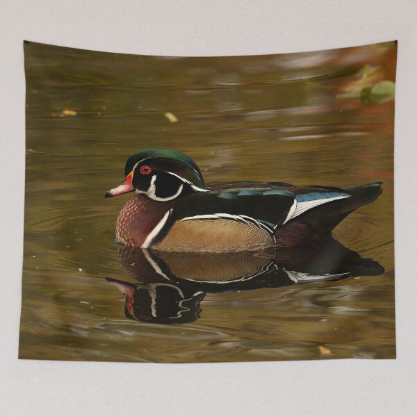 Item preview, Autumn's beautiful wood duck designed and sold by locustgirl.