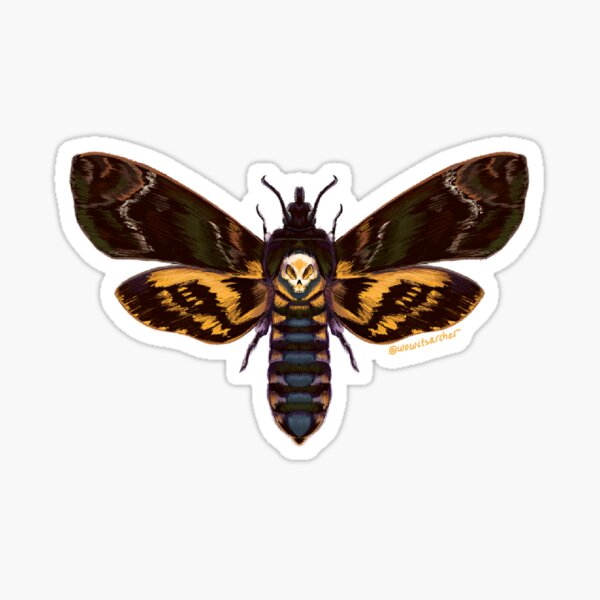 Item preview, DeathHead Hawk Moth Faux Insect Taxidermy designed and sold by okfineitsarcher.