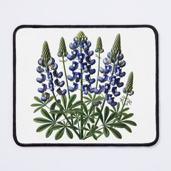 Item preview, Majestic Bluebonnet Blossom designed and sold by Blink Art Studio.