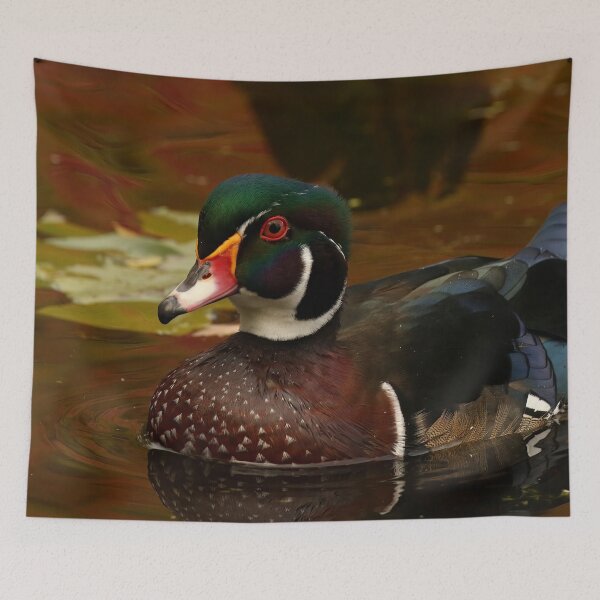 Item preview, Wood duck close up designed and sold by locustgirl.