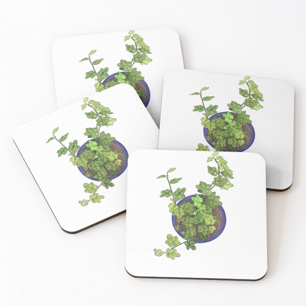Item preview, Frog Ivy (Ficus pumila quercifolia) designed and sold by widmerbotanical.