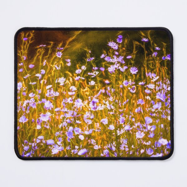Item preview, Chicory Delight designed and sold by Jim Love.