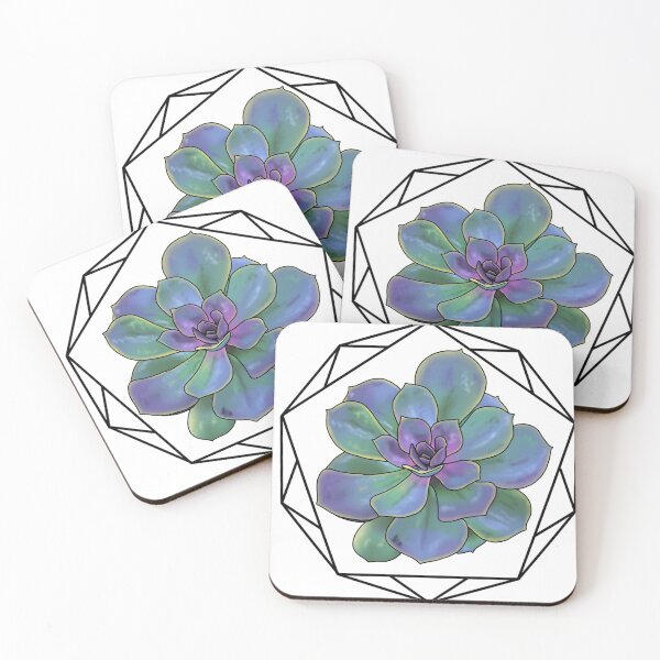 Item preview, Echeveria Color Splash Succulent designed and sold by widmerbotanical.