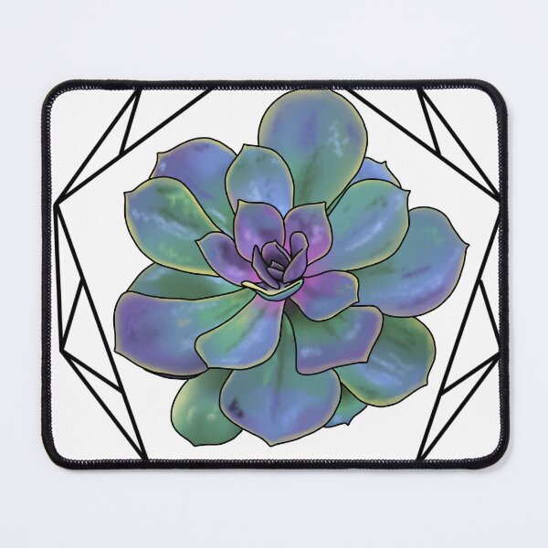 Item preview, Echeveria Color Splash Succulent designed and sold by widmerbotanical.