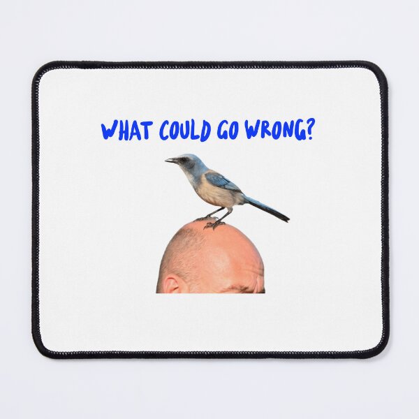 Item preview, Bird on head- what could go wrong? designed and sold by Qzmet.