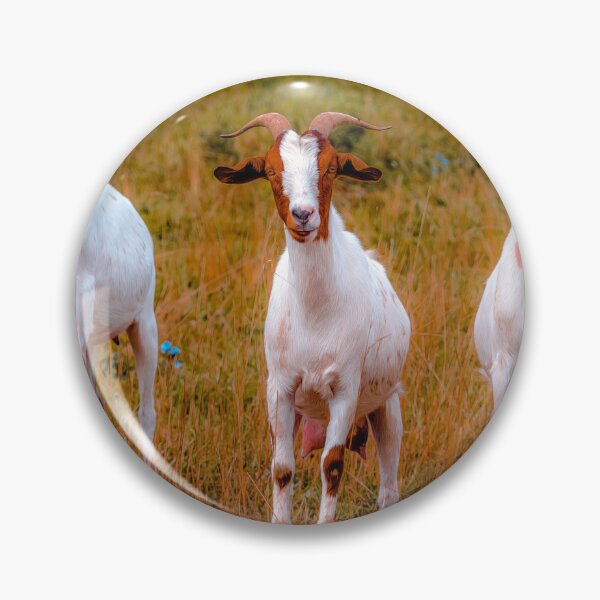 Item preview, Goats On Rocks designed and sold by Jim Love.
