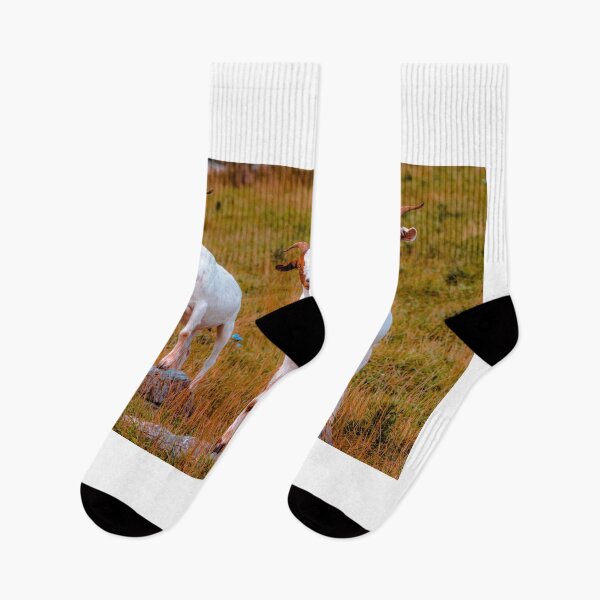 Item preview, Goats On Rocks designed and sold by Jim Love.