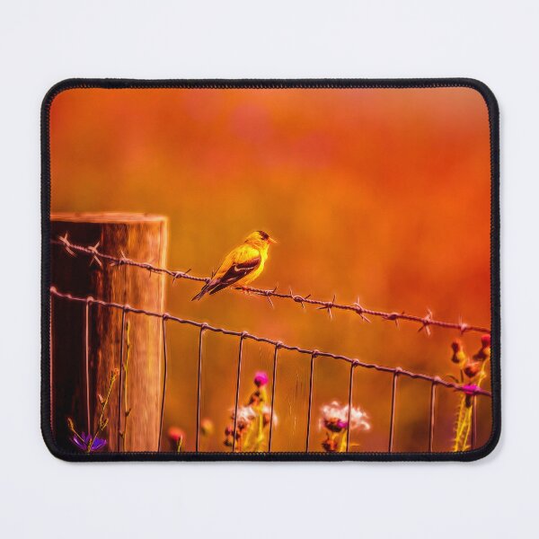 Item preview, Sing Me A Song Of Summer designed and sold by Jim Love.