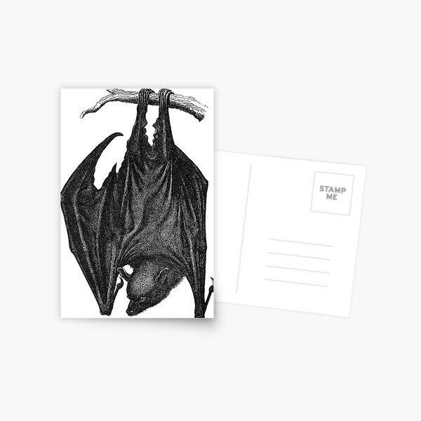 Aperçu de l'œuvre Chauve-souris gothique vintage créée et vendue par BetOova.