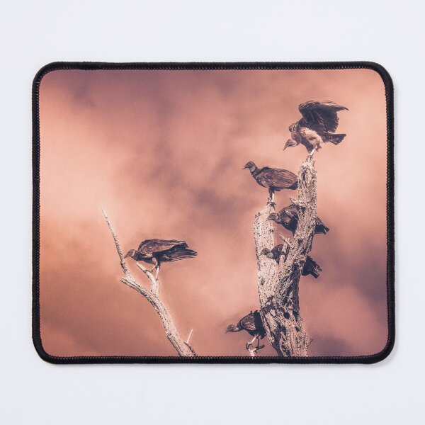 Item preview, Is It A Bad Sign When They Start Following You Around designed and sold by Jim Love.