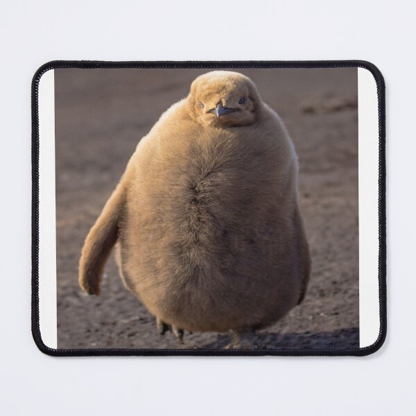 Item preview, cute pesto penguin designed and sold by Phoenix-Fire1.