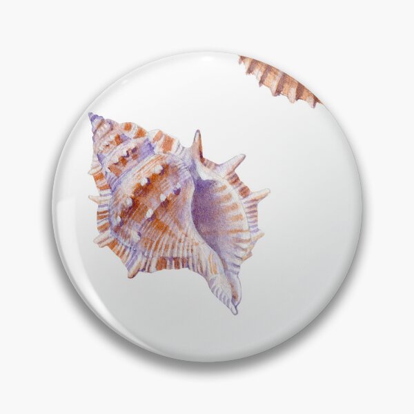Item preview, Shells designed and sold by ciarameadows.