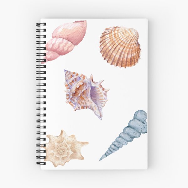 Item preview, Shells designed and sold by ciarameadows.