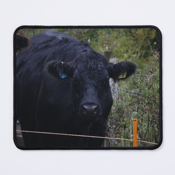 Item preview, Aberdeen Angus designed and sold by sammbramm.