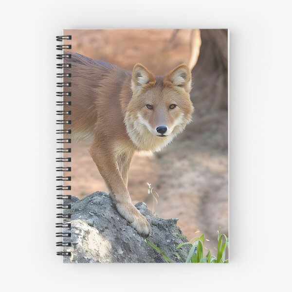 Item preview, Dhole Encounter designed and sold by Ospreywithafish.