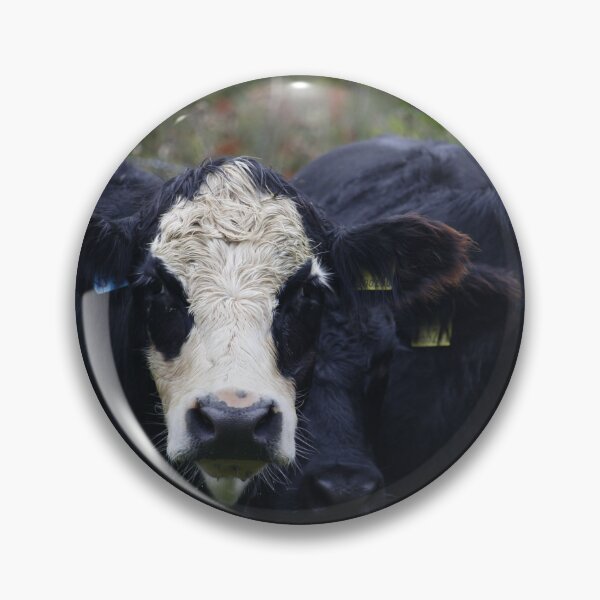 Item preview, Aberdeen Angus cross designed and sold by sammbramm.