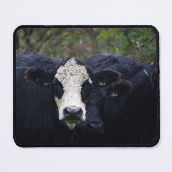 Item preview, Aberdeen Angus cross designed and sold by sammbramm.