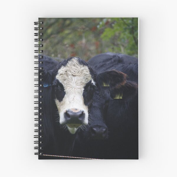 Item preview, Aberdeen Angus cross designed and sold by sammbramm.
