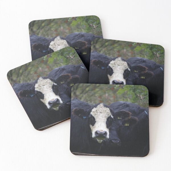 Item preview, Aberdeen Angus cross designed and sold by sammbramm.