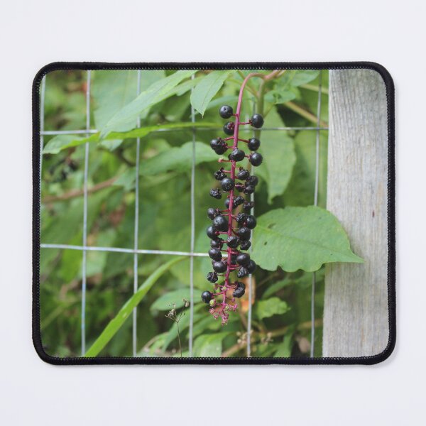 Item preview, Purple wild berries growing wild designed and sold by GoldenFrenchie.