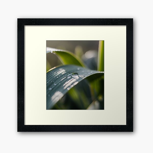 Item preview, Macro photography, minimalist water drop on leaf designed and sold by MajkelVisionArt.
