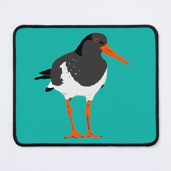 Item preview, Pied Oystercatcher designed and sold by Zerklandia.