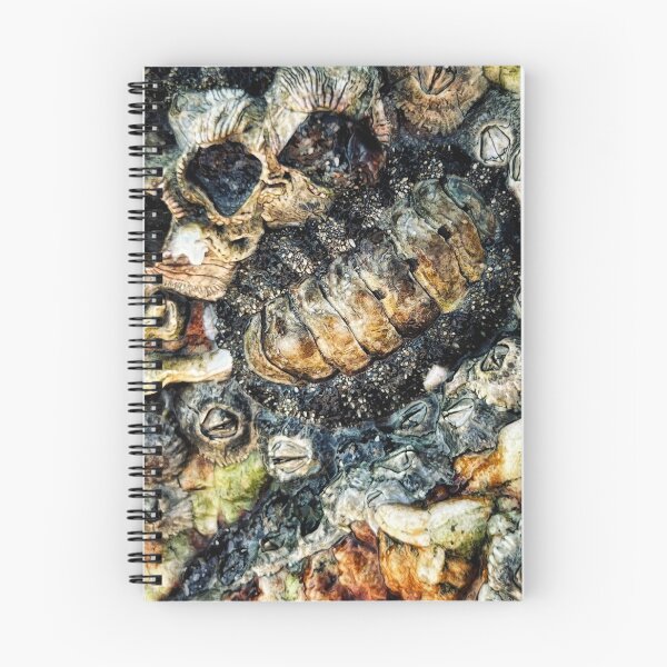 Item preview, Rocky shore designed and sold by goodieg.