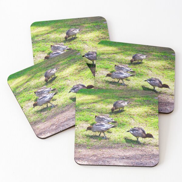 Item preview, Ducks Feeding! designed and sold by Mickangelhere.