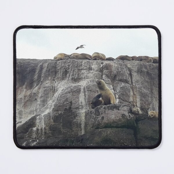 Item preview, Sea Wolf designed and sold by Daniela110.