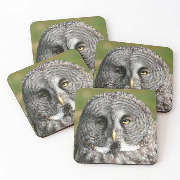 Item preview, Great gray owl close up designed and sold by locustgirl.