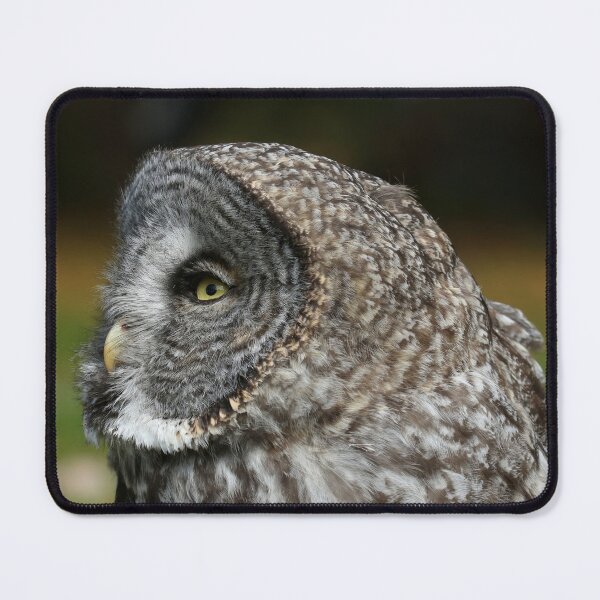 Item preview, Great gray profile designed and sold by locustgirl.