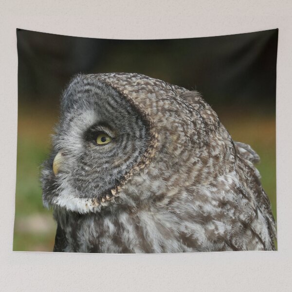 Item preview, Great gray profile designed and sold by locustgirl.