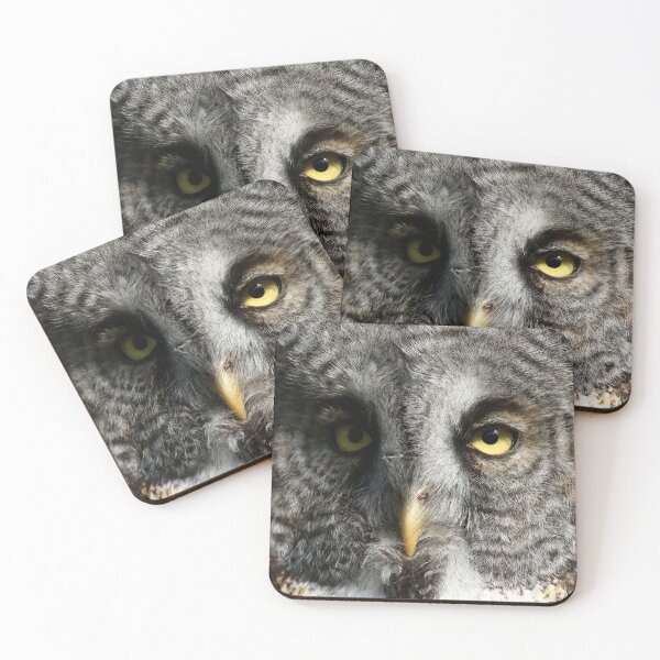 Item preview, Great gray owl face designed and sold by locustgirl.