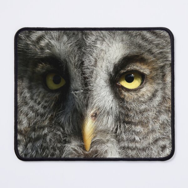 Item preview, Great gray owl face designed and sold by locustgirl.