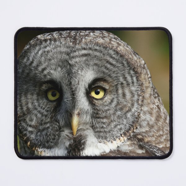 Item preview, Perfect great gray owl designed and sold by locustgirl.