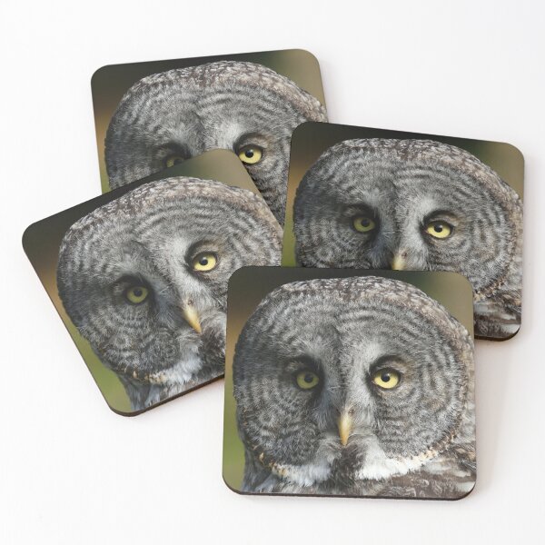 Item preview, Perfect great gray owl designed and sold by locustgirl.