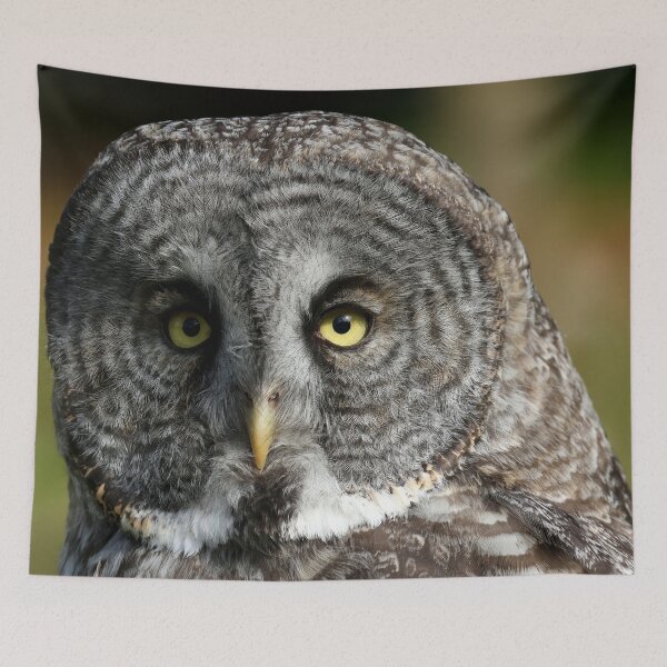Item preview, Perfect great gray owl designed and sold by locustgirl.