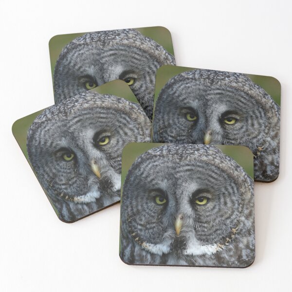 Item preview, Great gray owl designed and sold by locustgirl.
