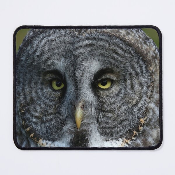 Item preview, Great gray owl designed and sold by locustgirl.