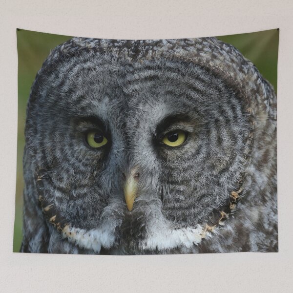 Item preview, Great gray owl designed and sold by locustgirl.