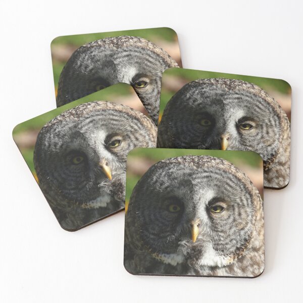 Item preview, Autumn great gray owl designed and sold by locustgirl.
