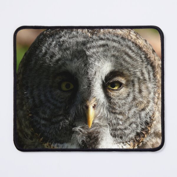 Item preview, Autumn great gray owl designed and sold by locustgirl.