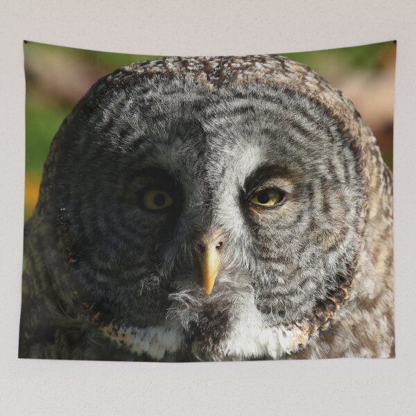 Item preview, Autumn great gray owl designed and sold by locustgirl.