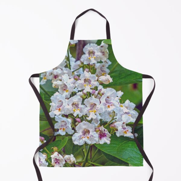Item preview, Catalpa designed and sold by Frankie Cat Photography.