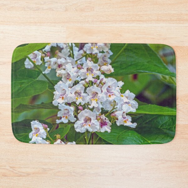 Item preview, Catalpa designed and sold by Frankie Cat Photography.