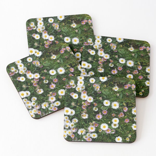 Item preview, Erigeron - seaside daisy at Magpie Springs by Avril Thomas designed and sold by MagpieSprings.