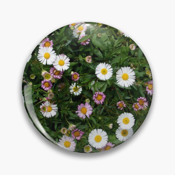 Item preview, Erigeron - seaside daisy at Magpie Springs by Avril Thomas designed and sold by MagpieSprings.